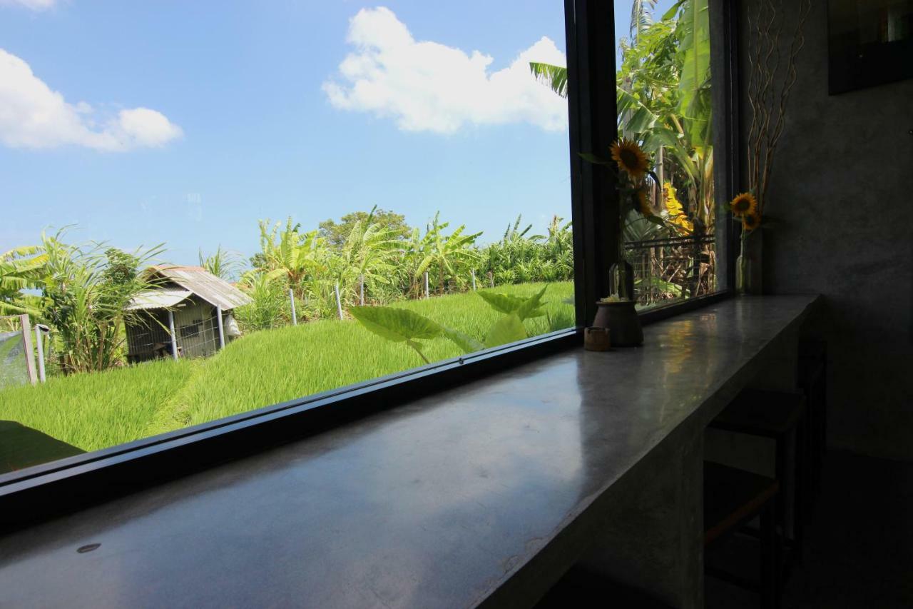 De Vir House Apartment Canggu  Luaran gambar