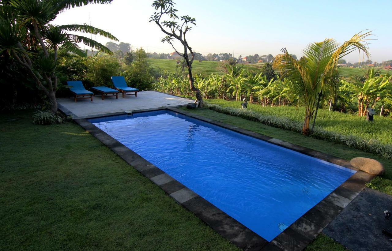 De Vir House Apartment Canggu  Luaran gambar